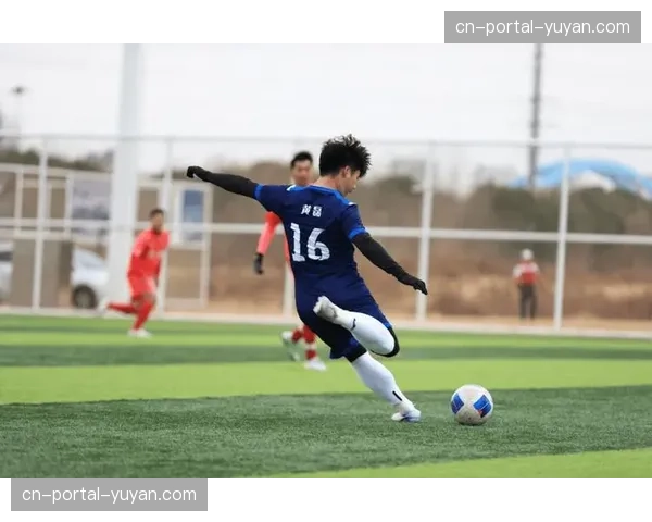 业余足球数据分析应用普及，提升比赛质量与观赏性